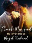 Flash-Married My Mysterious Mogul Husband-3 By Daphne Collins