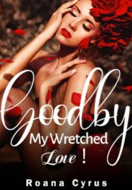 Goodbye My Wretched Love! By Dolly Molly Series Novel
