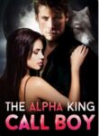The Alpha King Call Boy By Jane Above Story