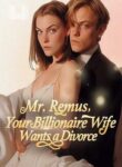 mr-remus-your-billionaire-wife-wants-a-divorce