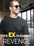 the-ex-husbands-revenge