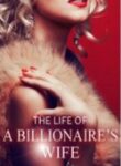 the-life-of-a-billionaires-wife