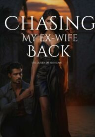 Chasing My Ex-wife Back by Symplyayisha Online Novel